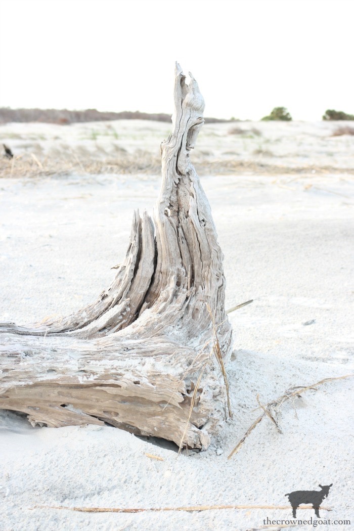 Summer Reset Guide: Easy Steps for Health & Lasting Change